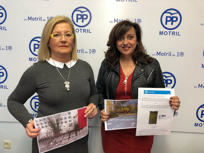 El Partido Popular presenta iniciativas al pleno municipal para mejorar Motril